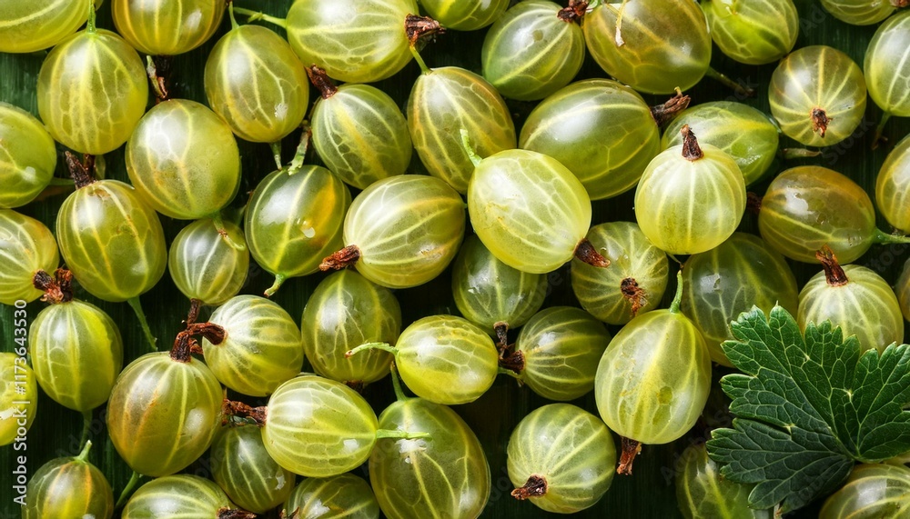 fresh and green gooseberries background closeup fresh and green gooseberries background closeup