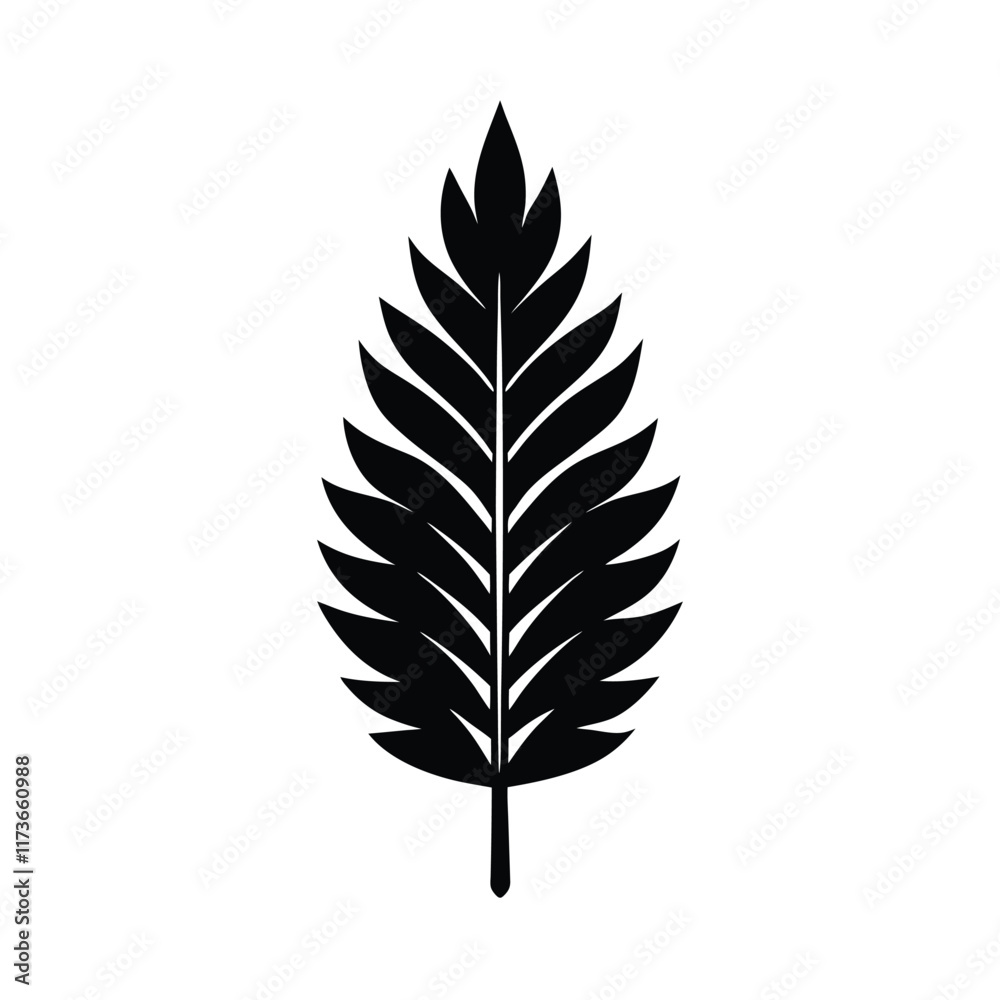 feather isolated on white background feather isolated on white background