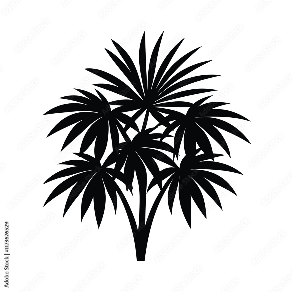 Obraz premium palm tree silhouette isolated