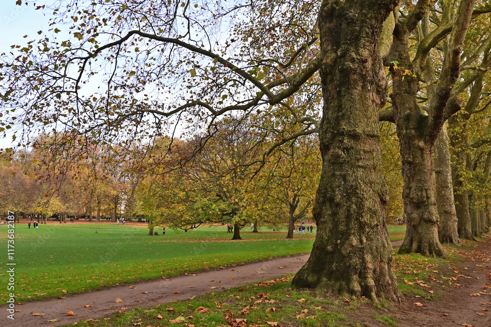 Naklejka premium Londra, Autunno e foliage ad Hide Park - Regno Unito 