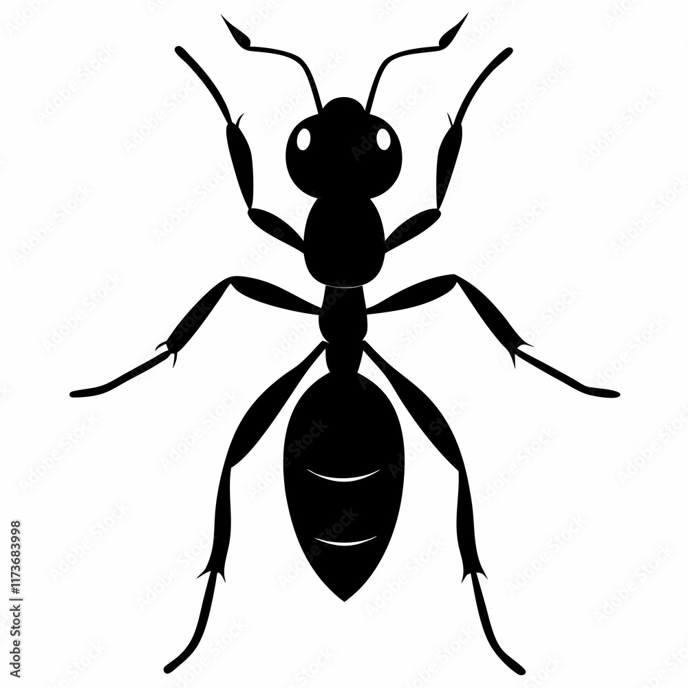 Ant vector silhouette black design white background Ant vector silhouette black design white background