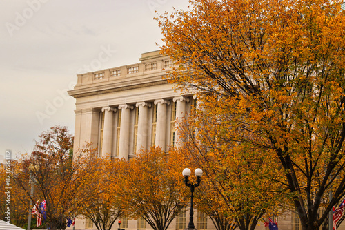Washington DC Fall Colors photo