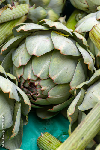 Fresh ripe green organic artichokes heads on local farmers market in Dordogne, France photo