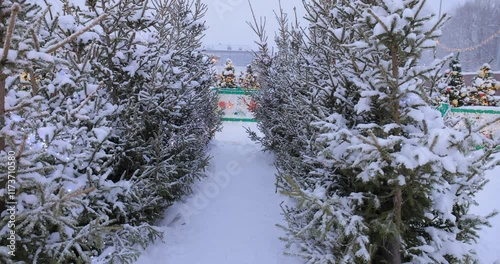 A festive scene of snow-covered Christmas trees adorned with shiny red and gold ornaments, capturing the essence of a winter wonderland during holiday season.