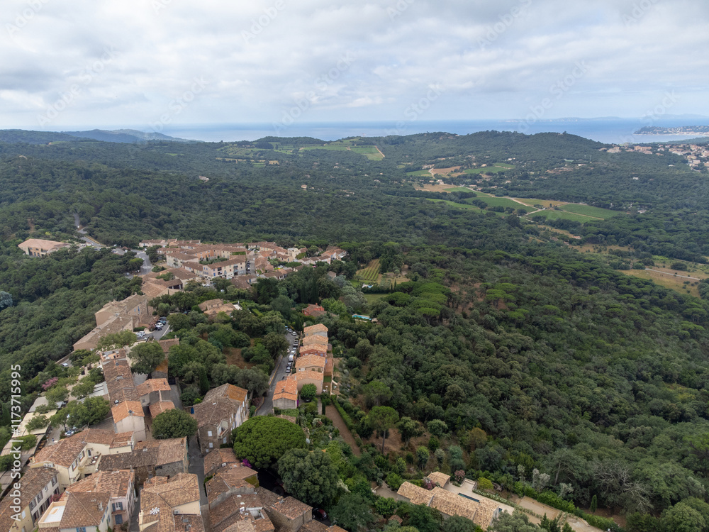 Fototapeta premium Landscape of French Riviera, view on hills, houses and green vineyards from above Cotes de Provence, production of rose wine near Saint-Tropez and Pampelonne beach, Var, France