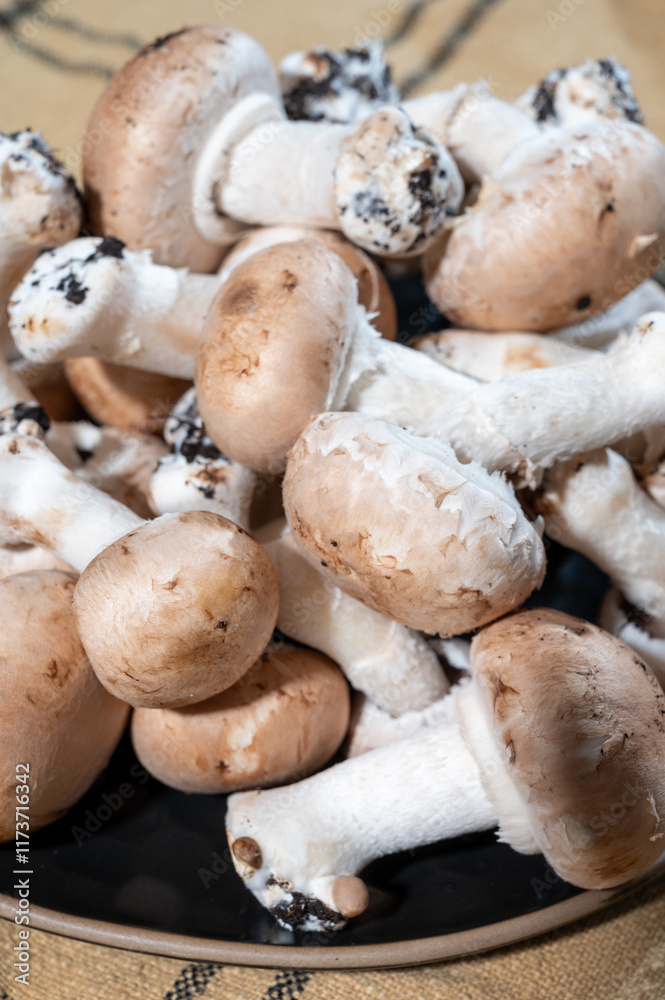 Organic Brown champignons mushrooms from underground caves in Kanne, Belgium, close up, vegetarian food Organic Brown champignons mushrooms from underground caves in Kanne, Belgium, close up, vegetarian food