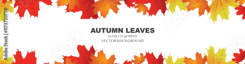 Beautiful autumn leaves decorative border frame vector template. Maple leaves . Canada maple leaf, vector Background  