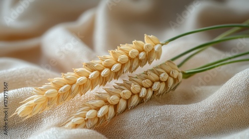 Close-up of golden wheat stalks resting on a soft beige fabric surface, showcasing delicate grain texture and an organic, calming aesthetic with rustic charm. photo