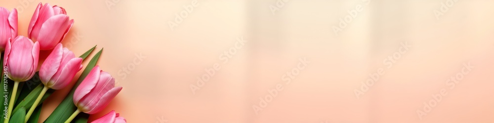 Pink tulips on pastel peach background. Spring floral design for greeting card. Suitable for Mother Day, Women Day, wedding invitation. Empty space for personalized text. Perfect for romantic Pink tulips on pastel peach background. Spring floral design for greeting card. Suitable for Mother Day, Women Day, wedding invitation. Empty space for personalized text. Perfect for romantic
