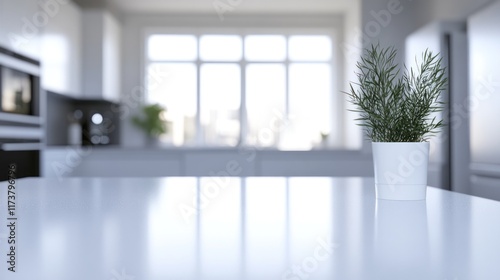 Modern kitchen interior with plant on countertop.