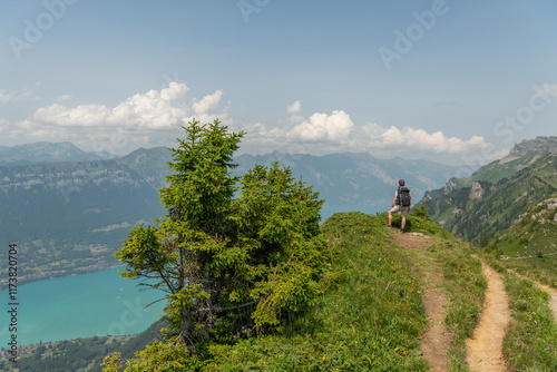 Summer view from the ridge trail between Schynige Platte and Loucherhorn mountain towards the Brienersee alpine lake. Summer view with alpine pine and Brienzersee. Hiker enjoying the panorama. photo