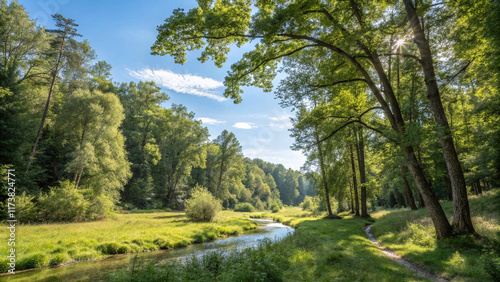 landscape