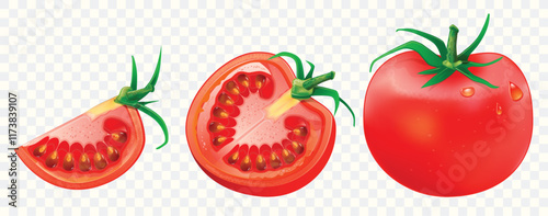 Realistic vector tomato set isolated on transparent background. Whole, sliced quarter, and halved tomatoes for design template and clipart.
