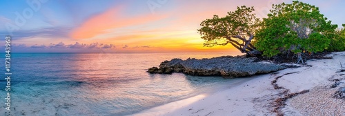 dry tortugas national park