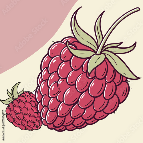 illustration of a raspberry