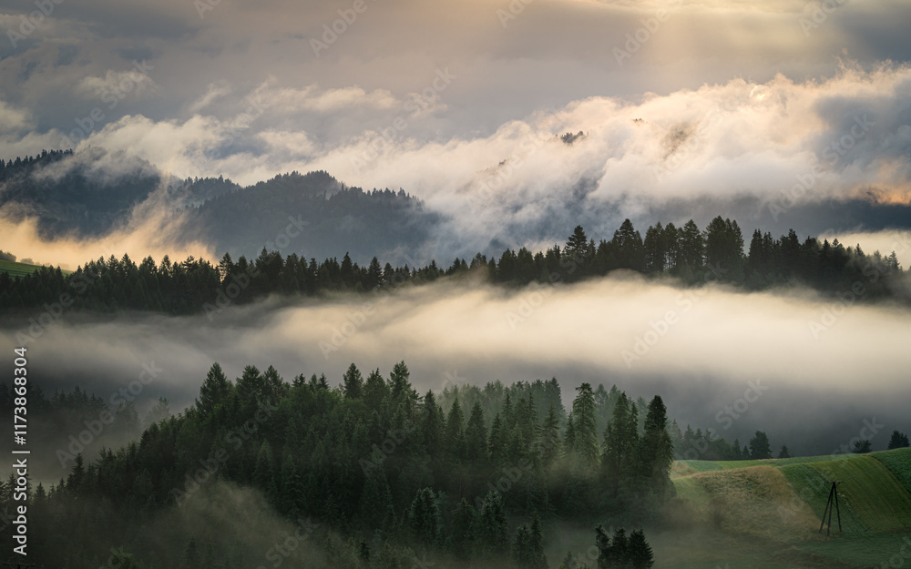 Pieniny we mgle