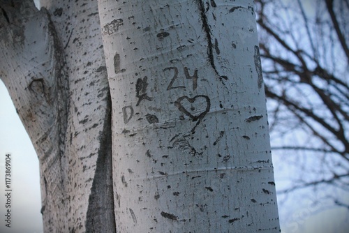Obraz na płótnie Close-up of a tree trunk with heart and initials carved into the bark, symbolizing love and memories