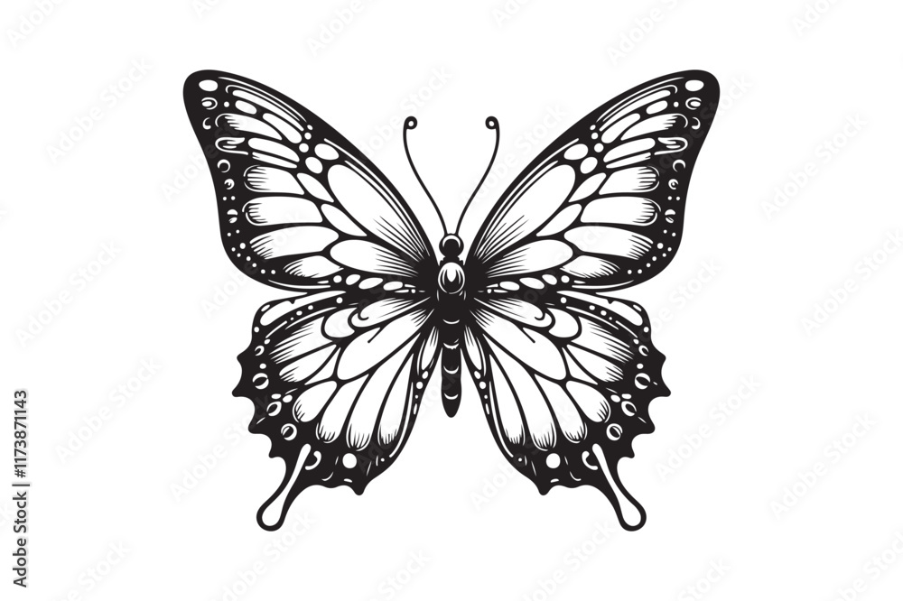 A clean black outline of a butterfly 9.eps A clean black outline of a butterfly 9.eps