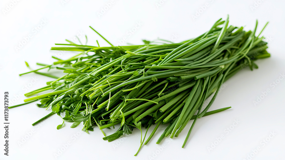 A variety of fresh green vegetables are meticulously arranged on a bright white background, showcasing their vibrant colors and promoting healthy eating habits A variety of fresh green vegetables are meticulously arranged on a bright white background, showcasing their vibrant colors and promoting healthy eating habits