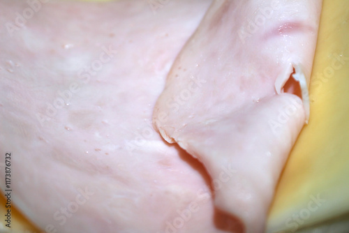 details of ham with cheese. ham on top of cheese. ham with selective focus. food details. photo