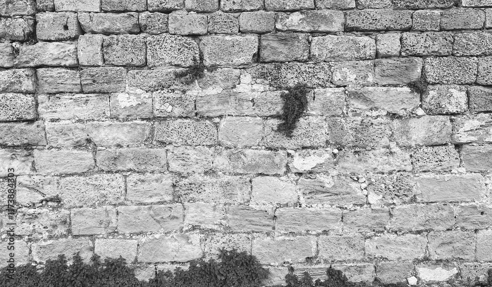 Stone Wall Textured Front View Black White Ancient Structure Stone Wall Textured Front View Black White Ancient Structure