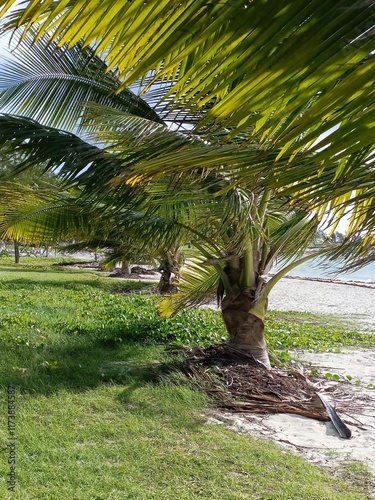 Mauritus - view