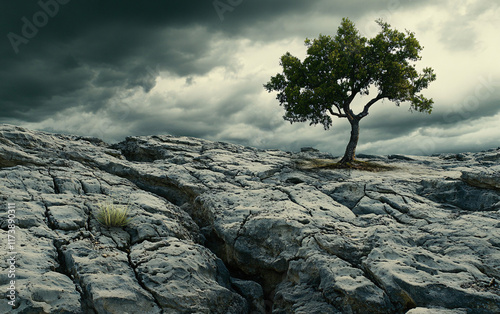 Solitary Tree on a Cracked Rugged Landscape Beneath a Dramatic Stormy Sky, Highlighting Resilience and Atmospheric Natural Beauty photo