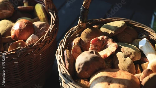 Wallpaper Mural Fresh mushrooms in a basket just after picking. Torontodigital.ca