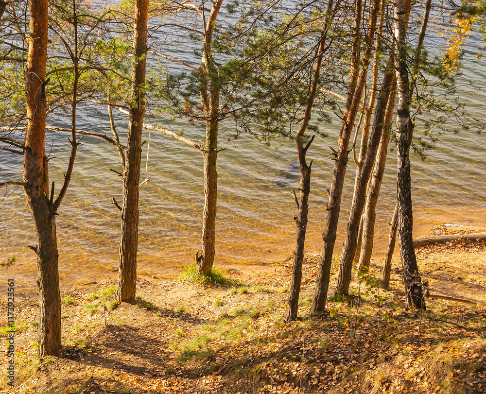 descent to the water by autumn forest lake descent to the water by autumn forest lake