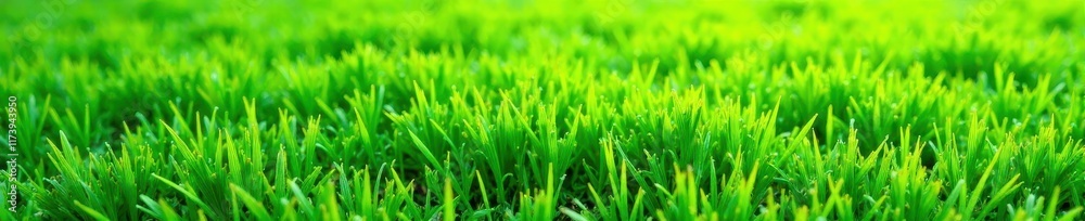 Vibrant green artificial turf square, seamless texture , texture, artificial grass, square Vibrant green artificial turf square, seamless texture , texture, artificial grass, square
