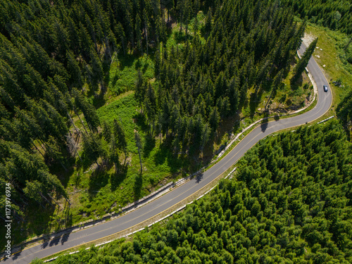Winding road trough dense pine forest. Aerial drone view, top down