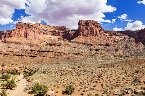 Red sandstone arid desert canyon landscape in Utah, USA