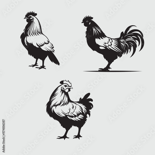 Chicken silhouette vector style with white background Art & Illustration