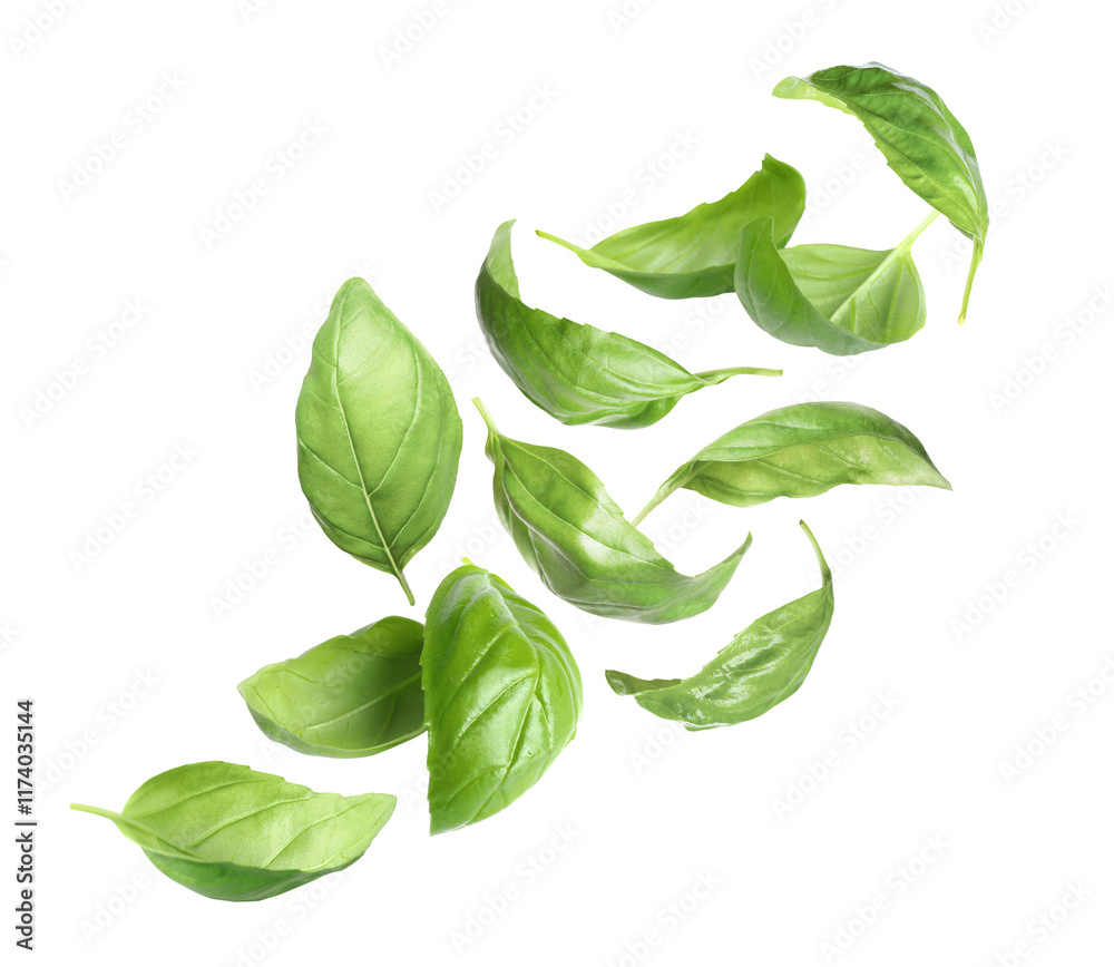 Fototapeta premium Fresh basil leaves in air on white background, set