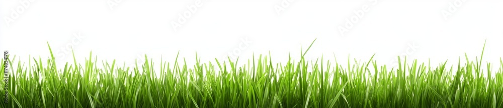 Green grass turf illustrated in 3D, isolated on a white background with an alpha mask for easy extraction Green grass turf illustrated in 3D, isolated on a white background with an alpha mask for easy extraction
