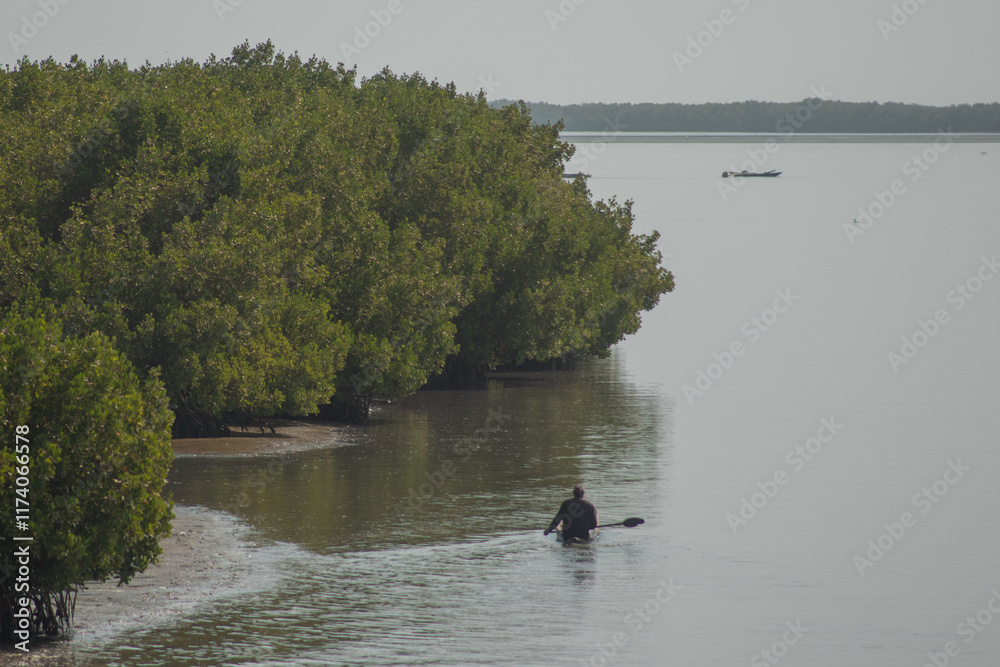 Calm waters in ziguinchour, senegal, kayaker floats around the mangroves of the shores of casamance river