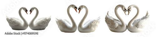 Elegant Isolated Swans Displaying Affection on Transparent Background