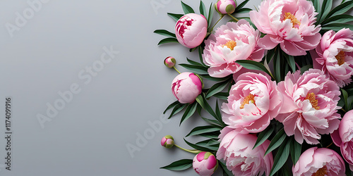 peonies in pastel hues on a grey background, top view,  wedding and greeting illustration, spring romantic illustration