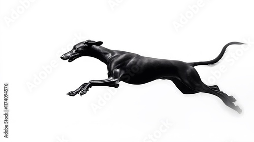 Detailed black illustration of a greyhound running on a white background representing speed and elegance