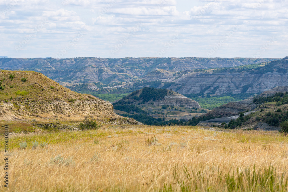 Fototapeta premium South Unit Scenic Drive