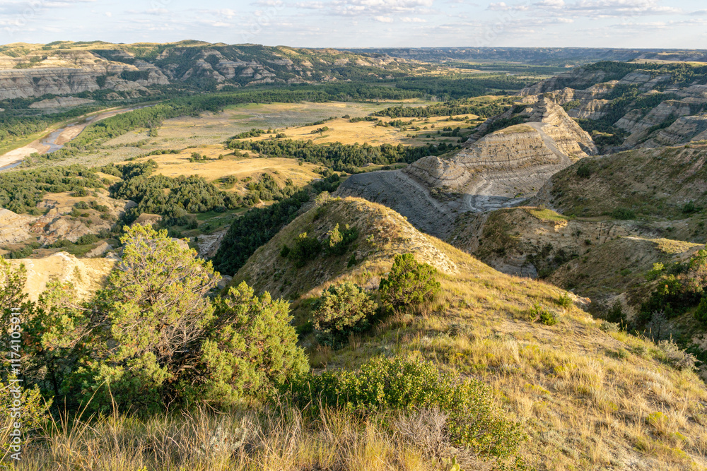 Naklejka premium Sperati Point