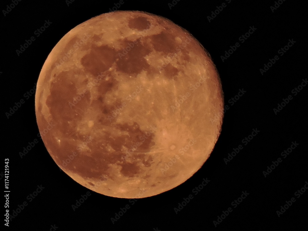 Obraz premium moon
