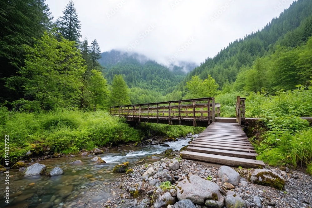 Mountain stream wooden bridge hiking trail Mountain stream wooden bridge hiking trail