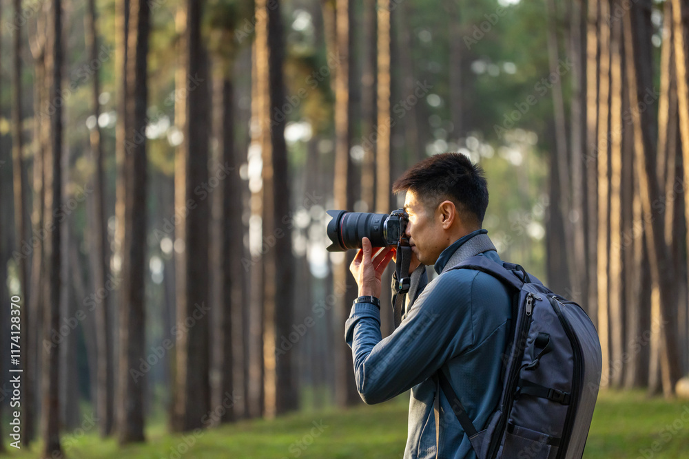 Photographer is taking photo of the new discovering bird species while exploring in the pine forest for surveying and locating rare biological diversity and ecologist on field study