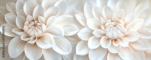 Serene Elegance: A Close-Up of Two Exquisite Cream Dahlias
