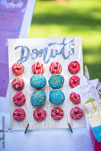 Donuts bar at Gender Reveal Party. Baby Shower party decorations. Celebration concept. Table with delicious desserts with pink and blue donuts in a bright green outdoor nature background. Boy or girl.