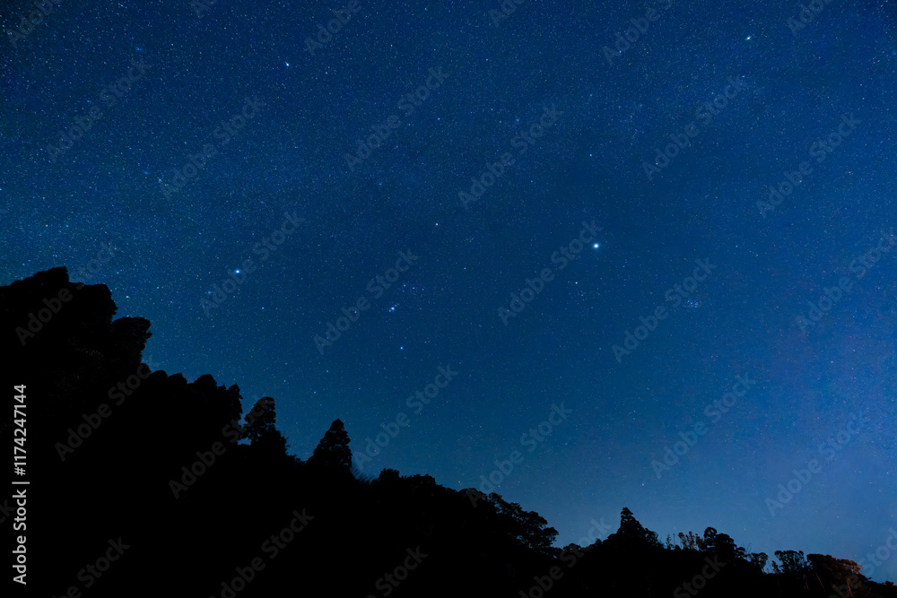 星々を見守る静寂の森 星々を見守る静寂の森