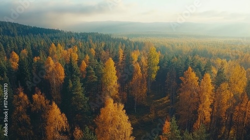 Vibrant autumn forest aerial view showcasing colorful foliage and diverse wildlife in a scenic landscape with empty space for text or design.