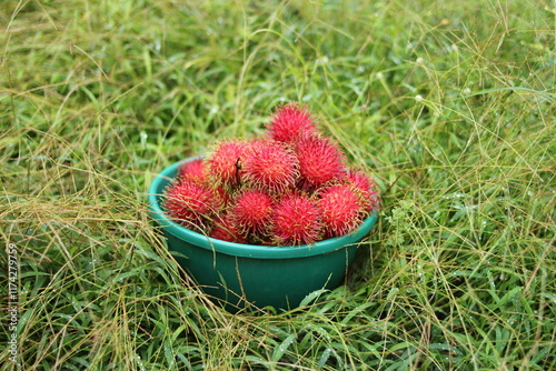 A close up view of a very red 
