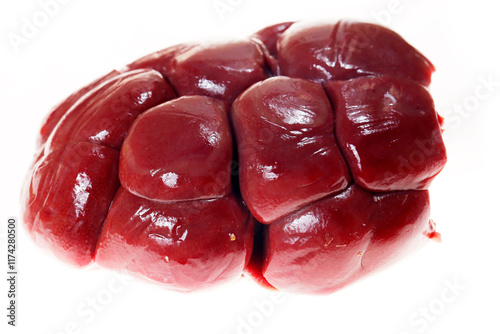 Cow kidneys on a white background photo